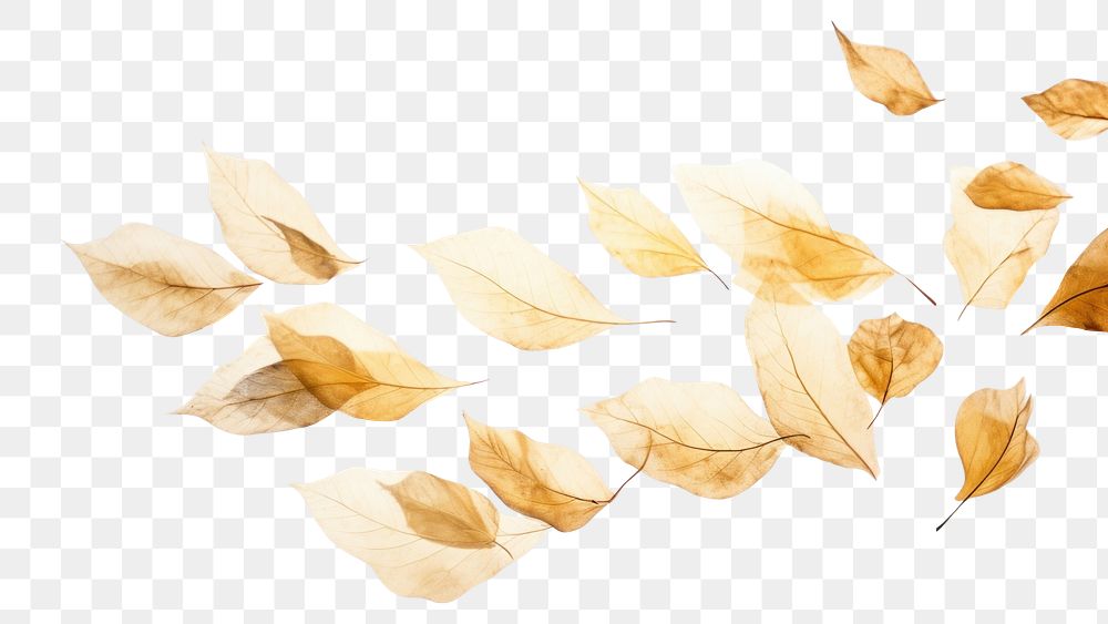 PNG Ink gold leaves backgrounds plant leaf. AI generated Image by rawpixel.