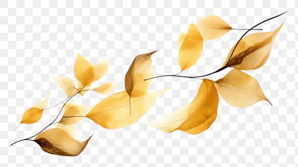 PNG Ink gold leaves pattern plant leaf. AI generated Image by rawpixel.