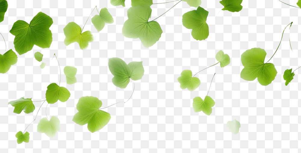 PNG Ink green leaves backgrounds plant leaf. AI generated Image by rawpixel.