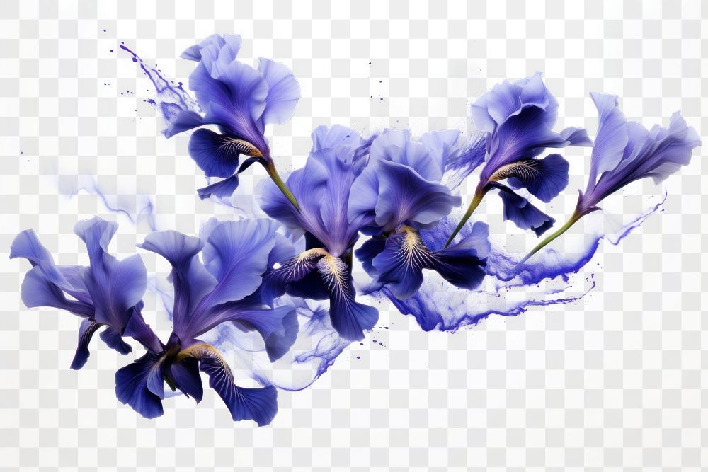 PNG Ink iris flowers blossom purple petal. AI generated Image by rawpixel.