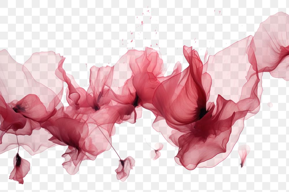 PNG Ink petals backgrounds white background splattered. AI generated Image by rawpixel.