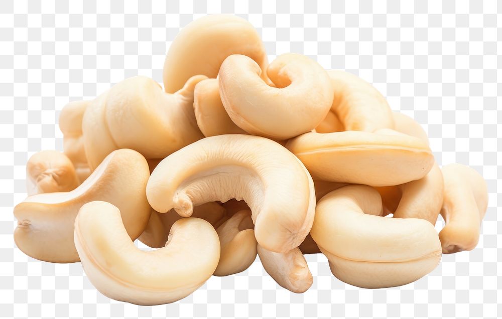 PNG  Cashew nuts food white background fettuccine.