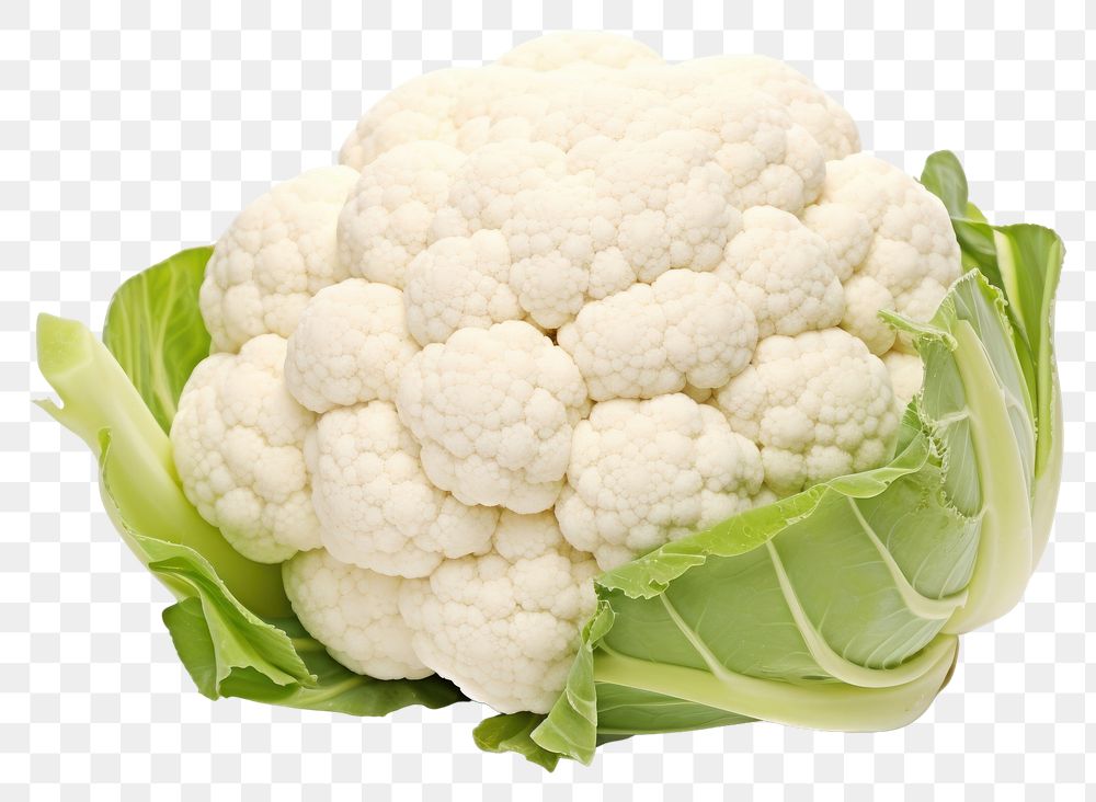 PNG  Cauliflower vegetable white plant.