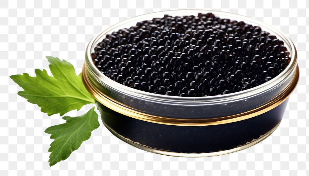 PNG  Caviar berry fruit plant.