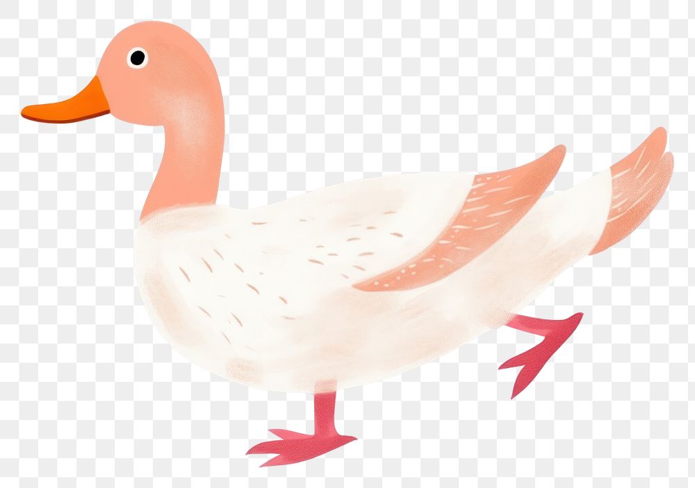 PNG  Goose animal bird duck. AI generated Image by rawpixel.