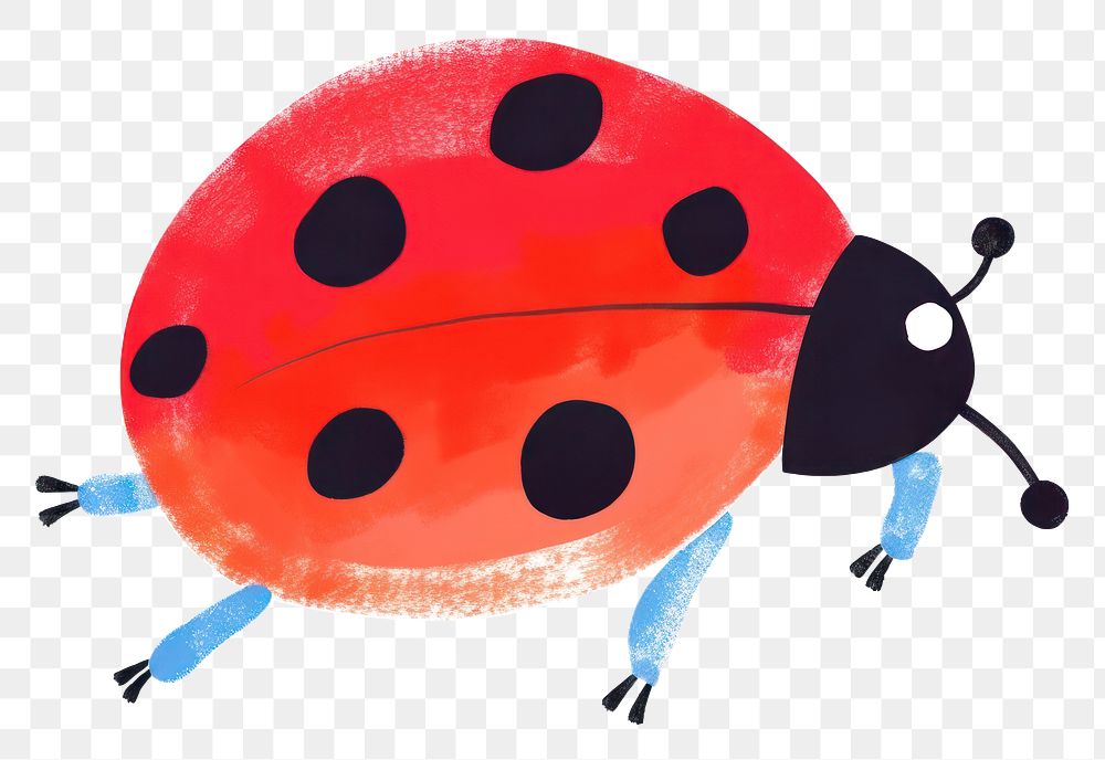 PNG  Ladybug animal insect nature. AI generated Image by rawpixel.