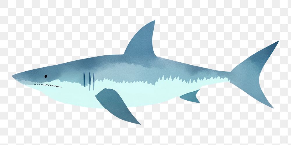 PNG  Shark animal fish white background. AI generated Image by rawpixel.