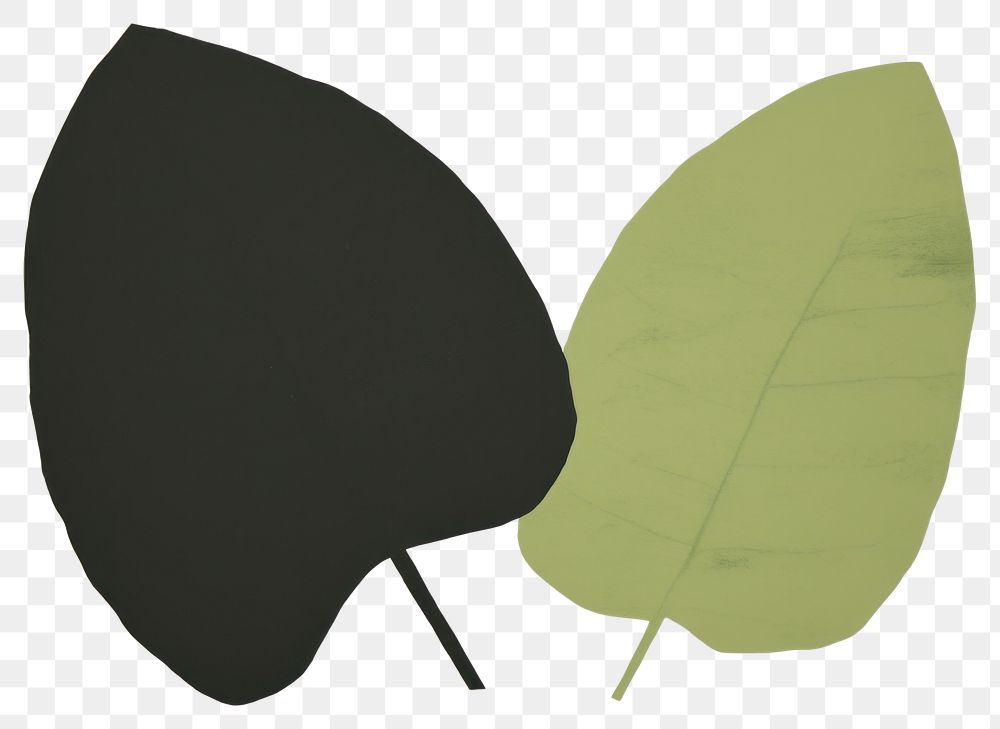 PNG Plant green leaf creativity drawing.