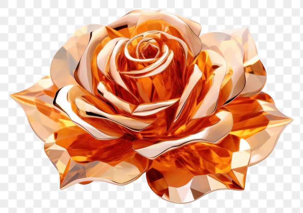 PNG Orange rose jewelry flower petal