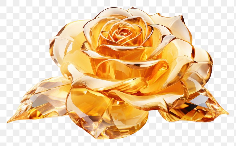 PNG Yellow rose jewelry flower plant.