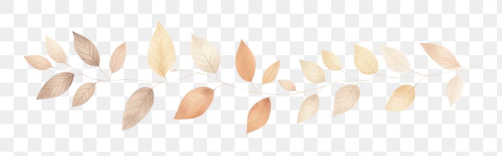 PNG Autumn leaves divider watercolour illustration pattern plant leaf.