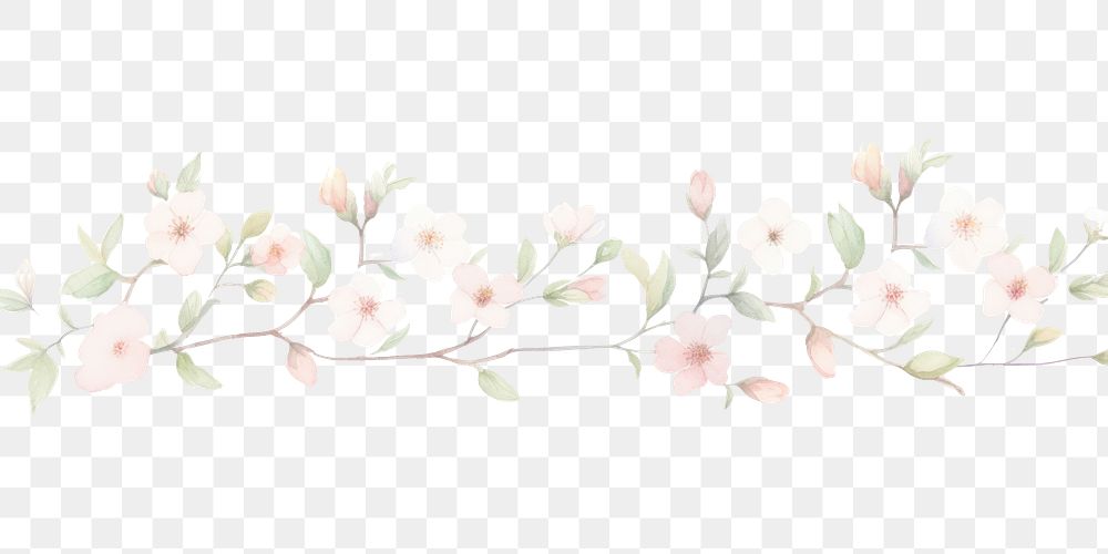 PNG Blossoms as divider watercolour illustration pattern flower plant.