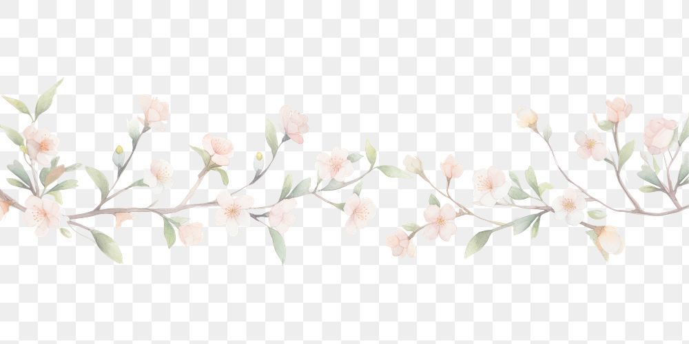 PNG Blossoms as divider watercolour illustration pattern flower plant.