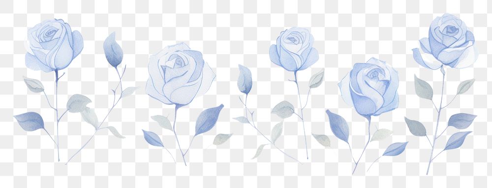 PNG Blue roses as divider line watercolour illustration pattern drawing flower.