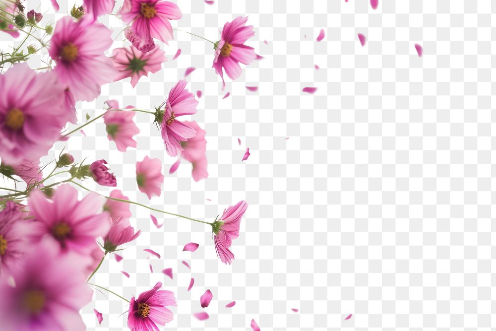 PNG Flying pink flowers border backgrounds blossom nature.