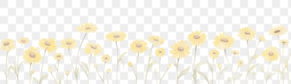 PNG Cute daisies and butterflies as divider line watercolour illustration backgrounds pattern flower.