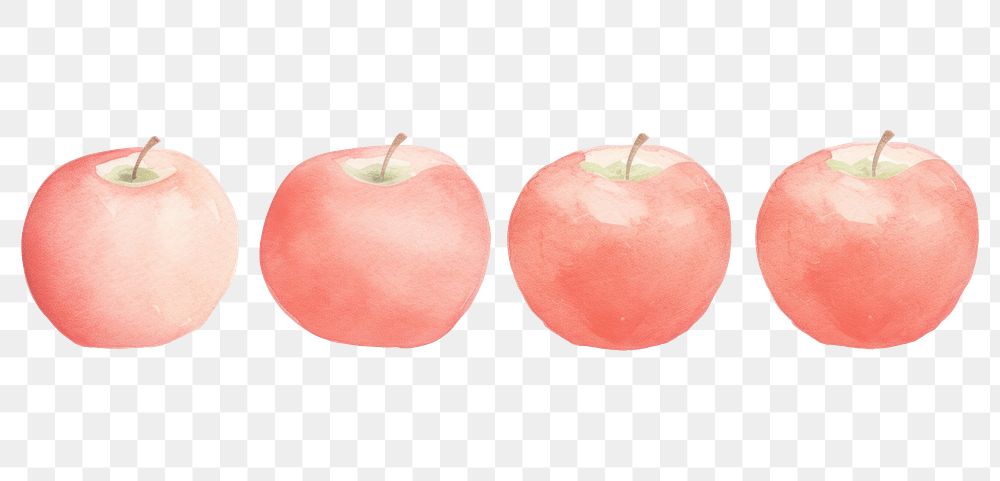 PNG Cute floating red apples as divider watercolour illustration plant food 