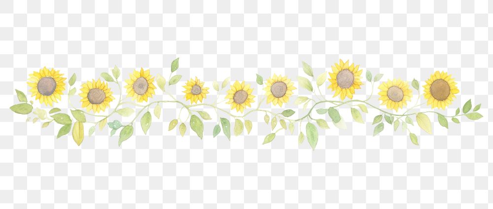 PNG Cute sunflowers as divider line watercolour illustration pattern plant asterales.