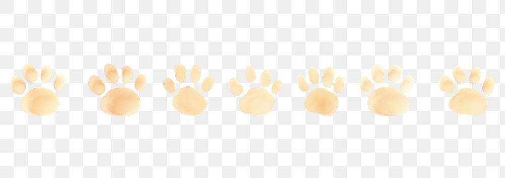 PNG Dog paws as divider line watercolour illustration white background carnivora panoramic.
