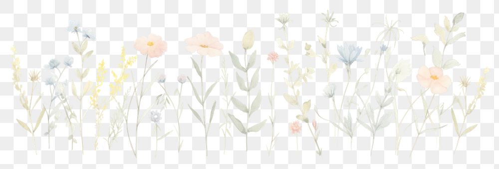 PNG Flowers lines divider watercolour illustration backgrounds pattern drawing.