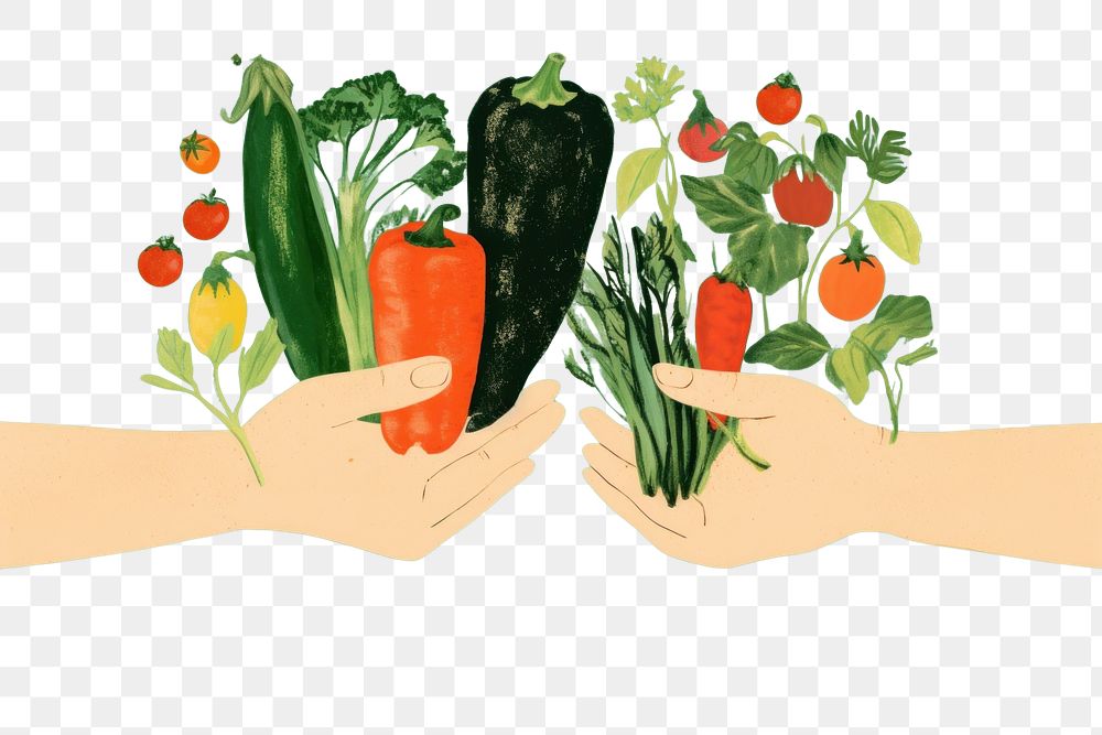 PNG  Vegetables holding green food.