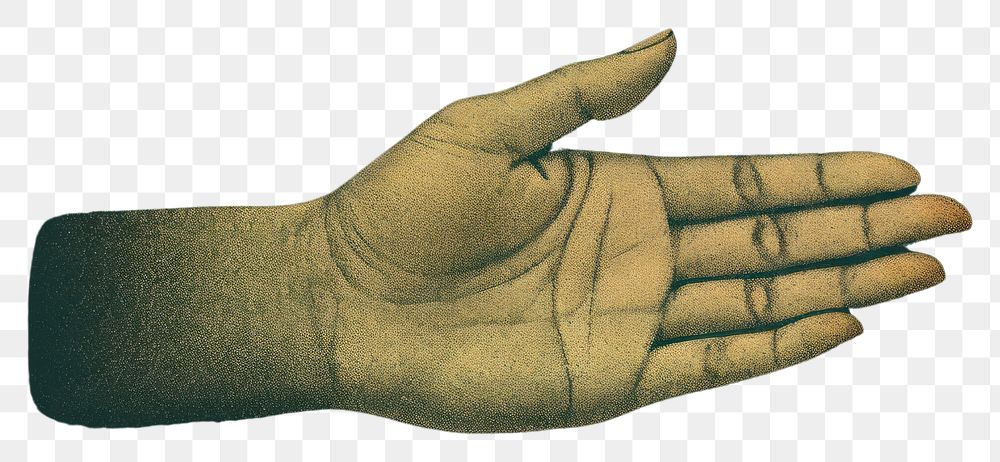 PNG  Gold hand finger green.