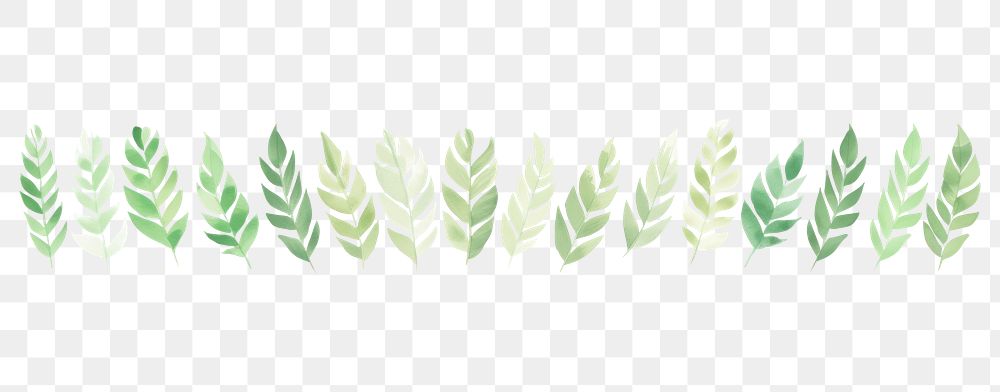 PNG Green leaves as divider watercolour illustration backgrounds plant leaf.