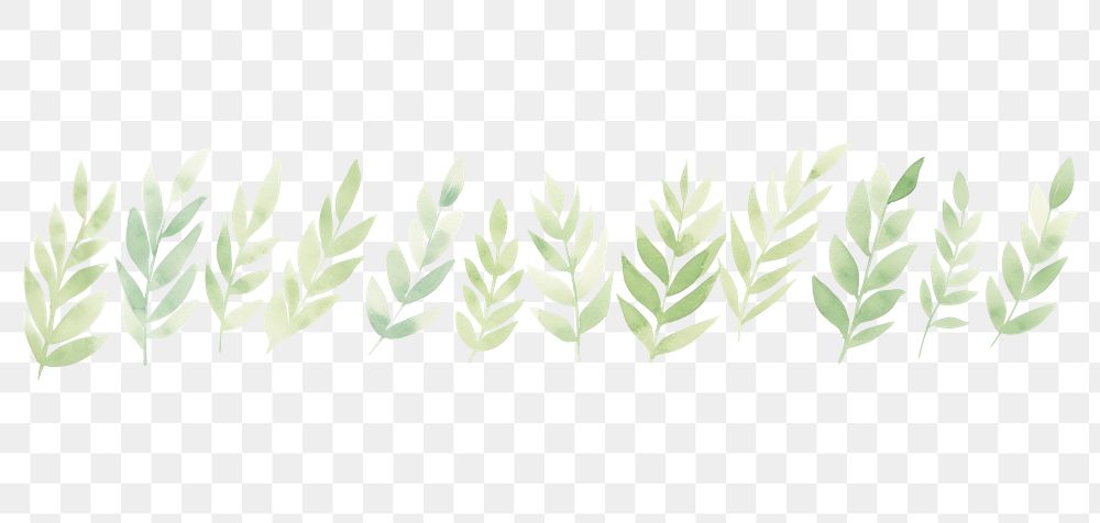 PNG Green leaves as divider watercolour illustration backgrounds pattern plant.