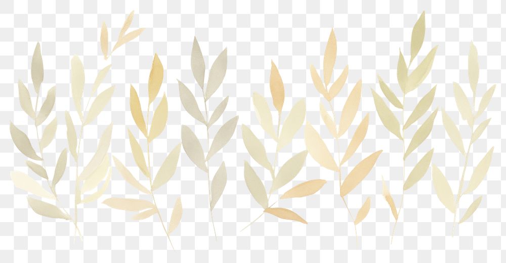 PNG Leaves lines divider watercolour illustration backgrounds pattern plant.