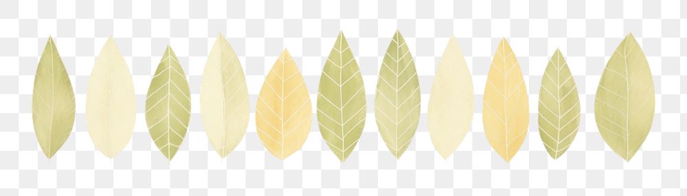 PNG Leaves lines divider watercolour illustration backgrounds nature plant.