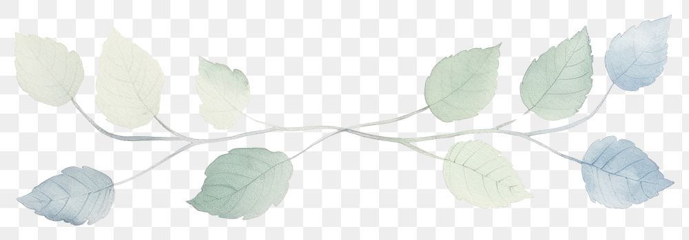 PNG Leaves symmetric watercolour illustration plant leaf line.