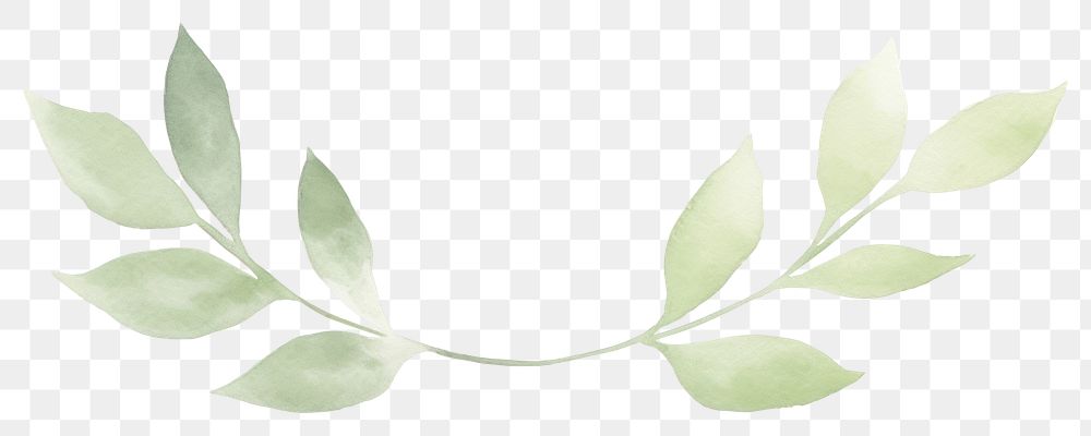 PNG Leaves symmetric watercolour illustration plant leaf white background.