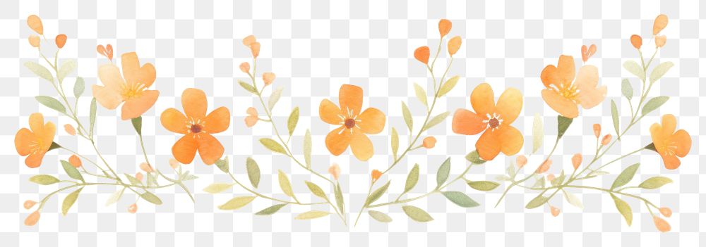 PNG Orange florals divider watercolour illustration pattern flower plant.