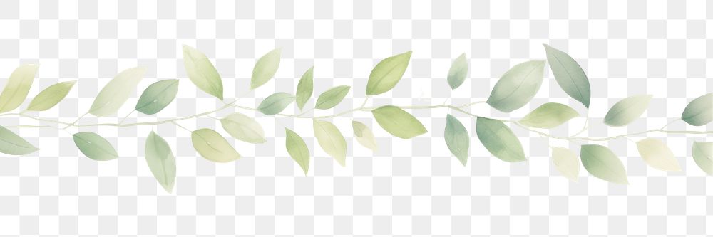PNG Spring leaves as divider watercolour illustration backgrounds pattern plant.
