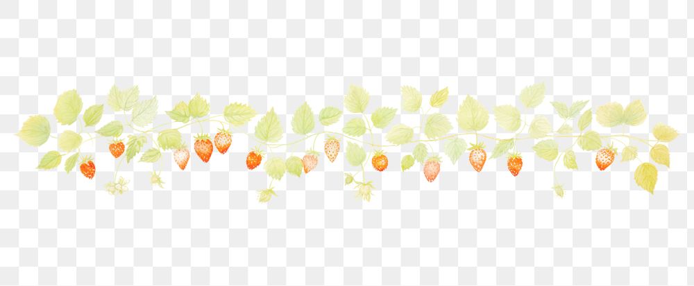 PNG Strawberies and strawberries leaves as divider line watercolour illustration pattern plant leaf.