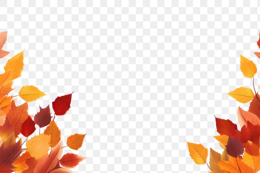 PNG Autumn leaves backgrounds plant maple.