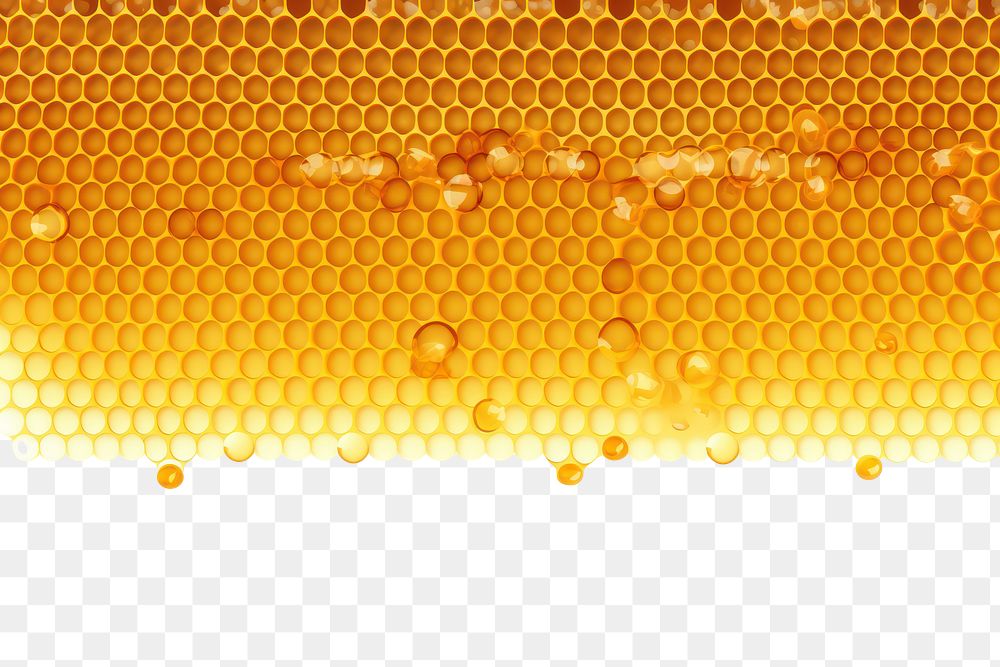 PNG Honeycomb backgrounds line white background.