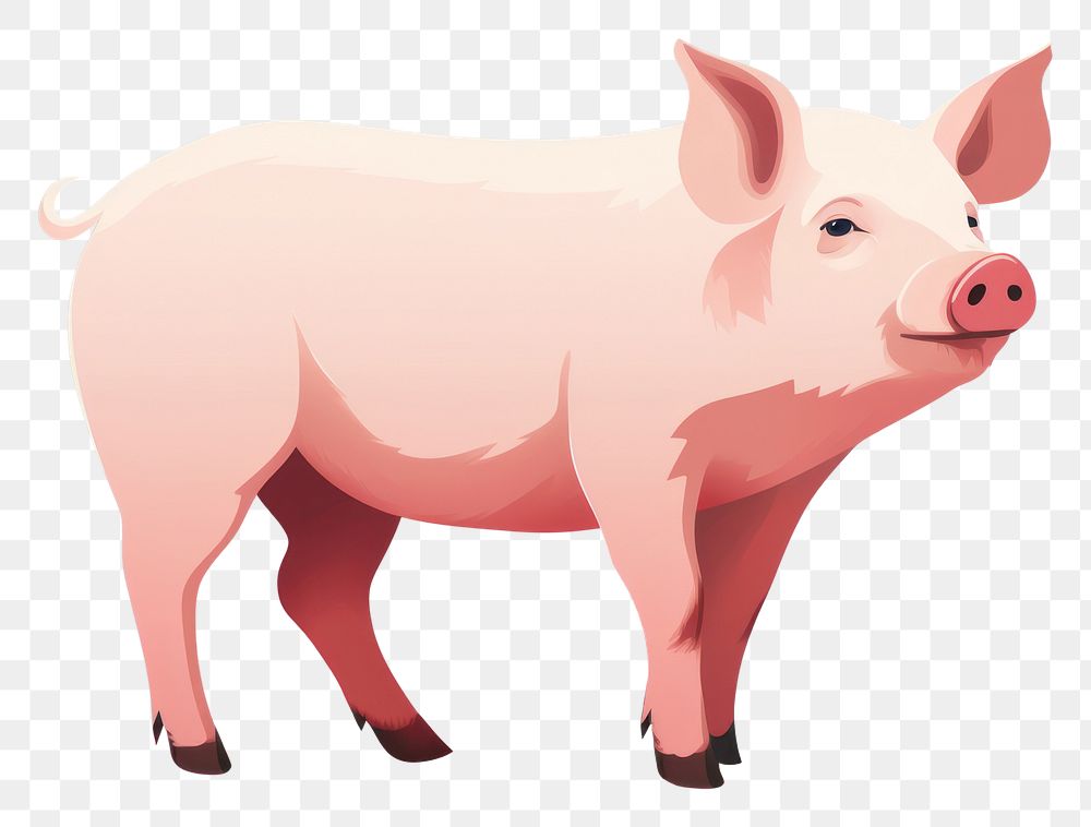 PNG Pig livestock animal mammal. AI generated Image by rawpixel.