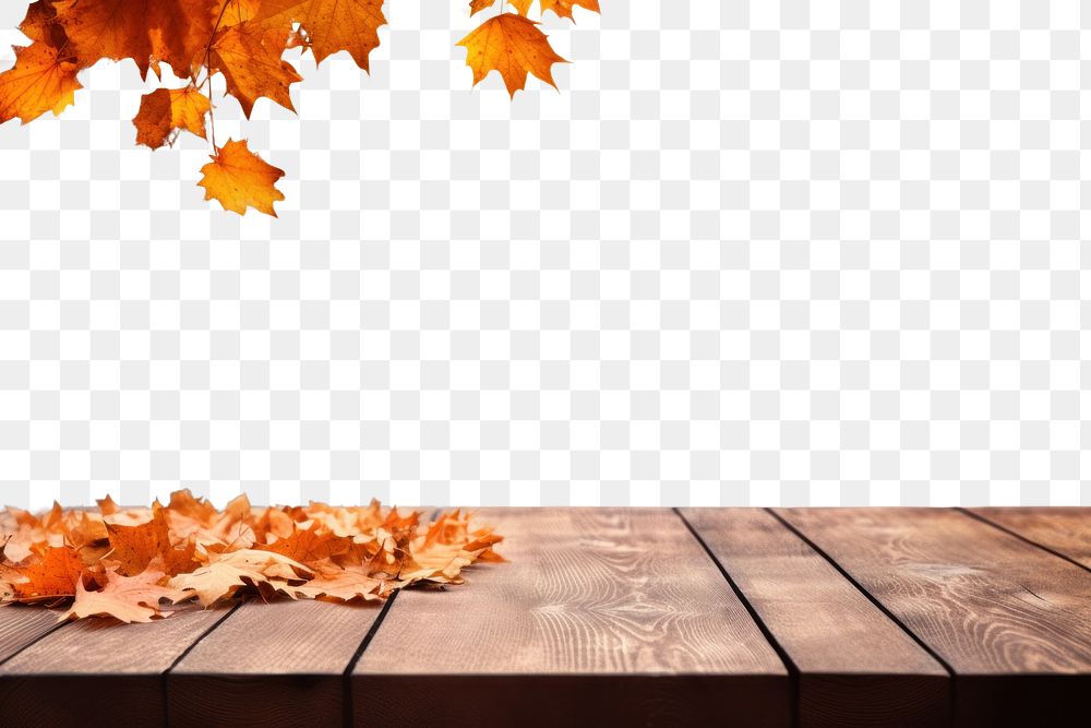 PNG Fall leaves backgrounds outdoors autumn.