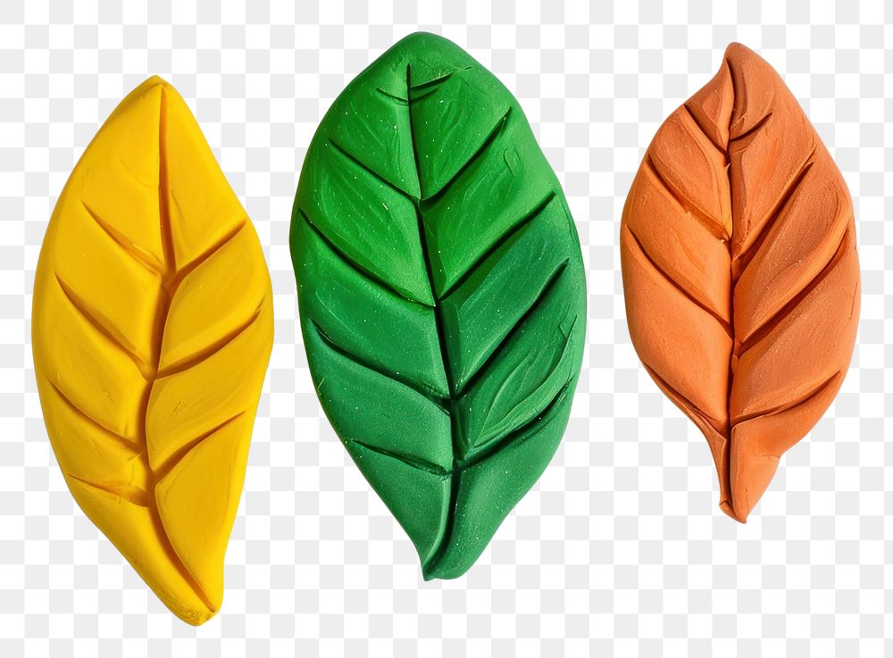 PNG  Plasticine of leaf plant accessories creativity.
