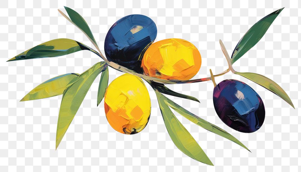 PNG Olive fruit painting olive plant.