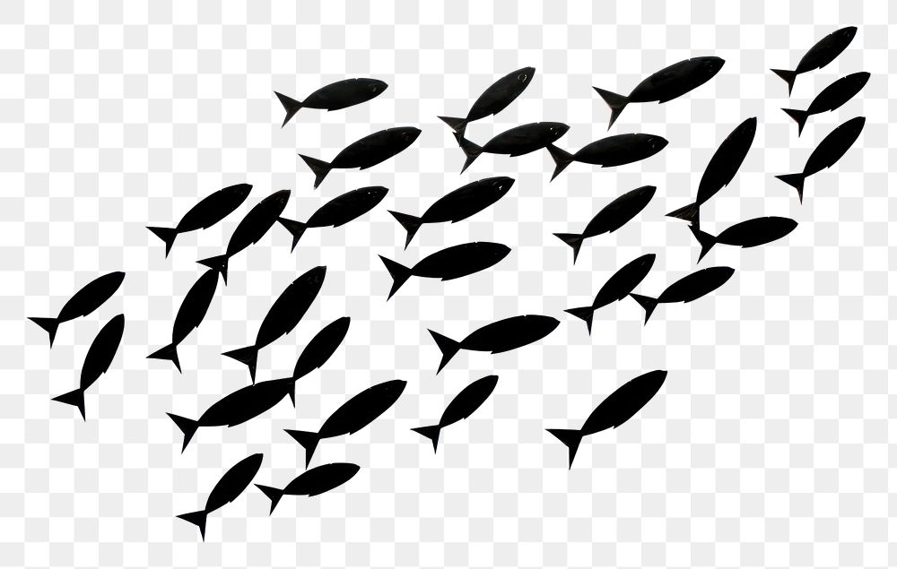 PNG Silhouette fish drawing animal.