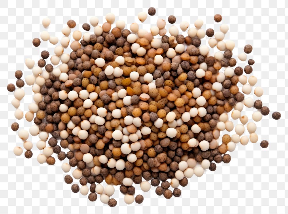 PNG Lentils seeds backgrounds food white background.