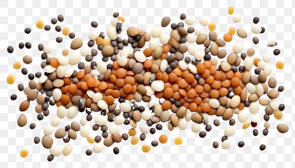 PNG Lentils seeds backgrounds vegetable food
