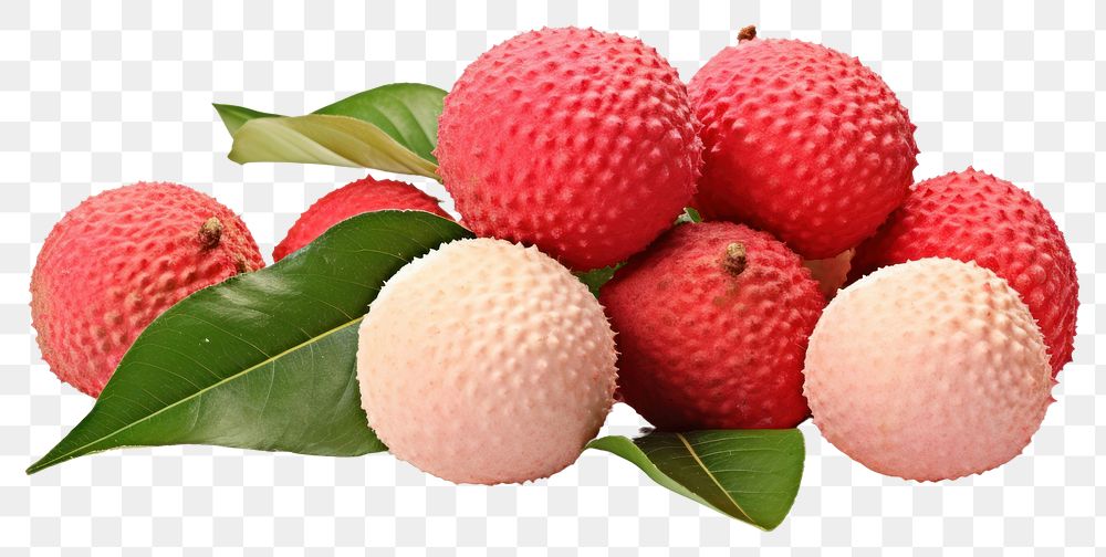 PNG Lychee fruit strawberry plant.