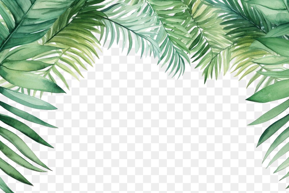 PNG Palm leaves border nature plant green.