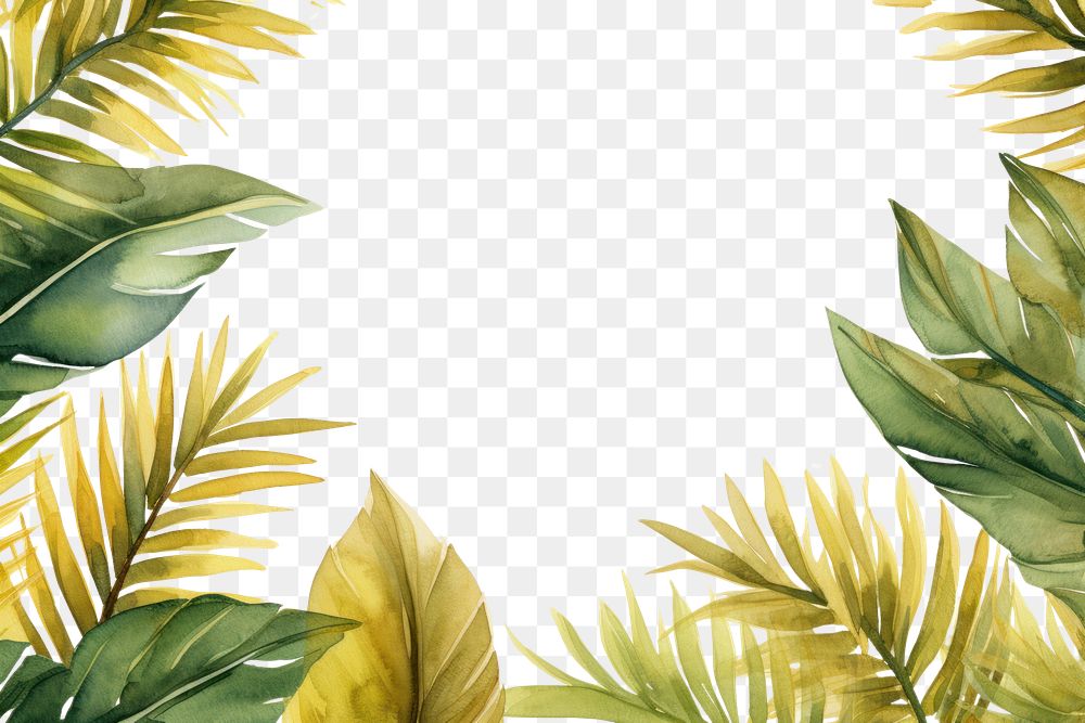 PNG Palm leaves border nature plant green.