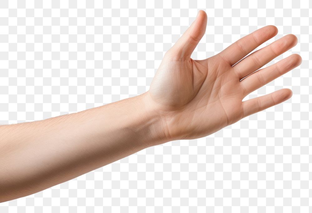 PNG  Hand that is placed finger adult human.