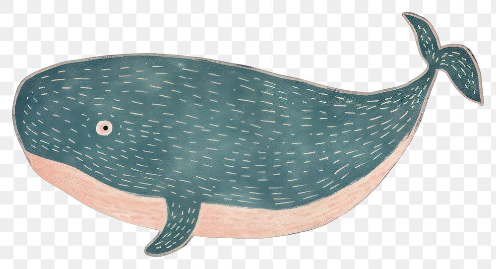 PNG  Chalk style whale animal mammal fish.