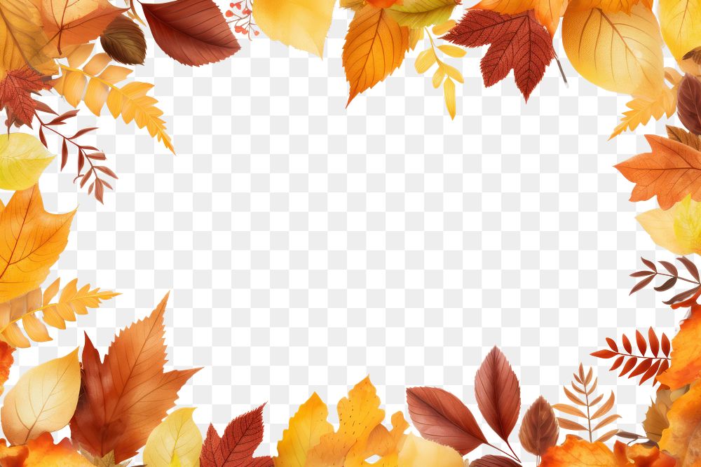 PNG Frame Of Autumn autumn leaves plant.